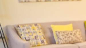 Pet Friendly Apartments Virginia Beach Pet Friendly Apartments Virginia Beach